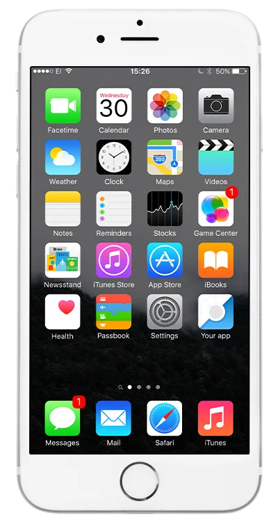 Features - 28圈huaxinghua