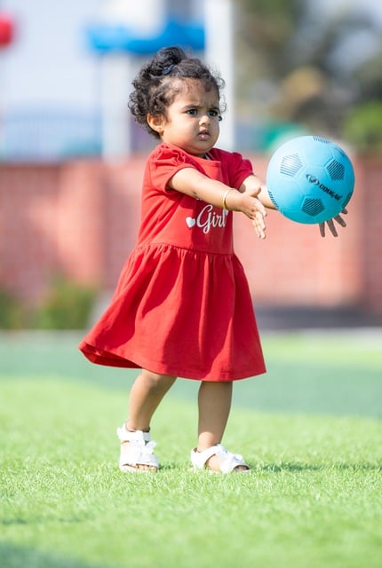 個得分手段 個得分手段