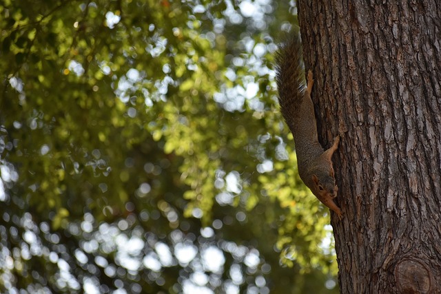 继续关注他 继续关注他