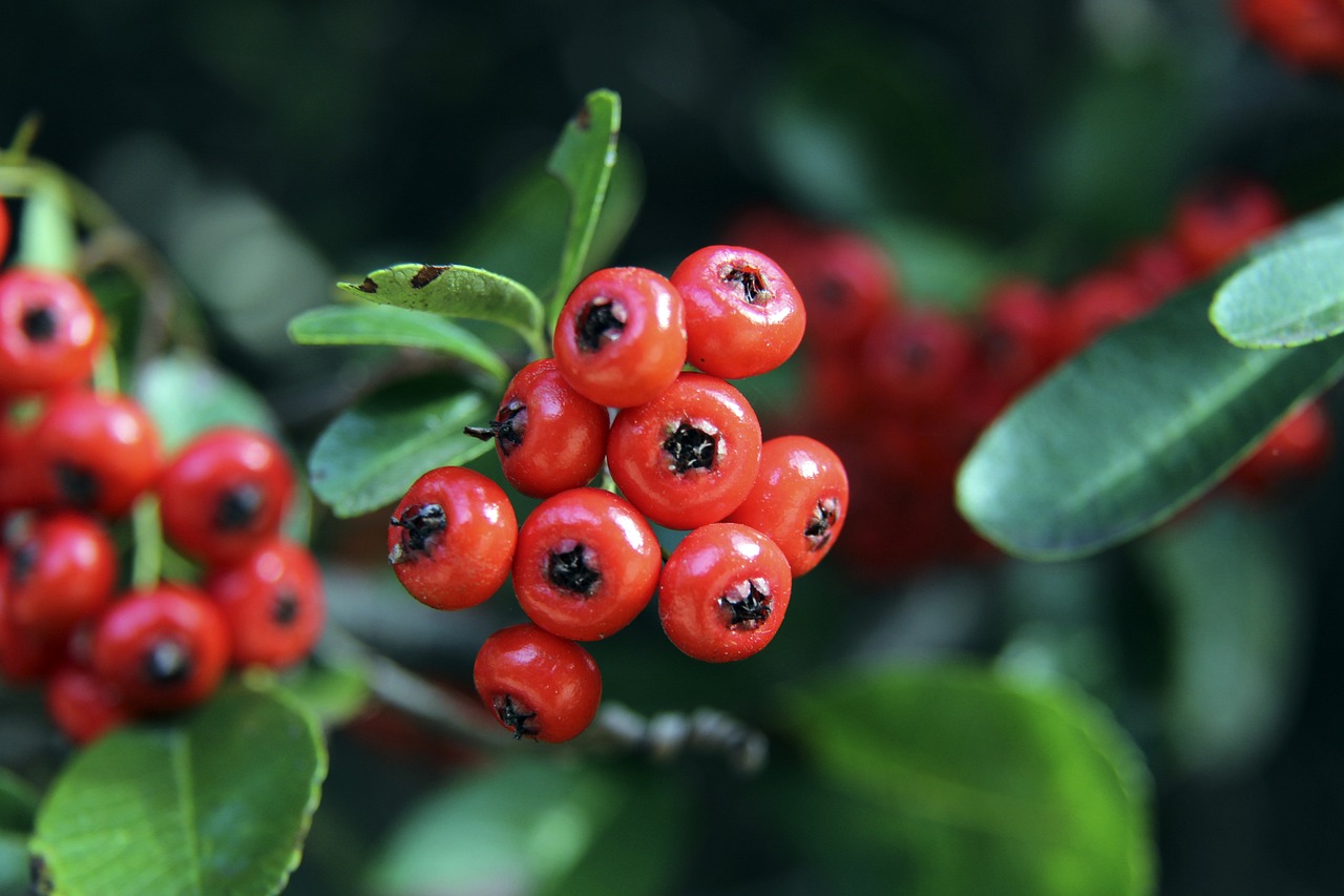 准上略有调 准上略有调