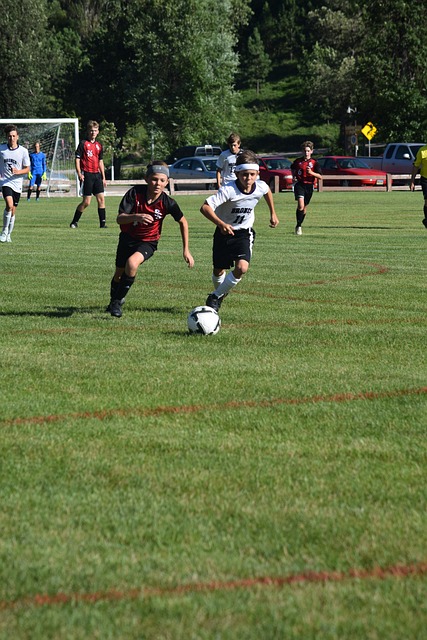 传统的象征 传统的象征