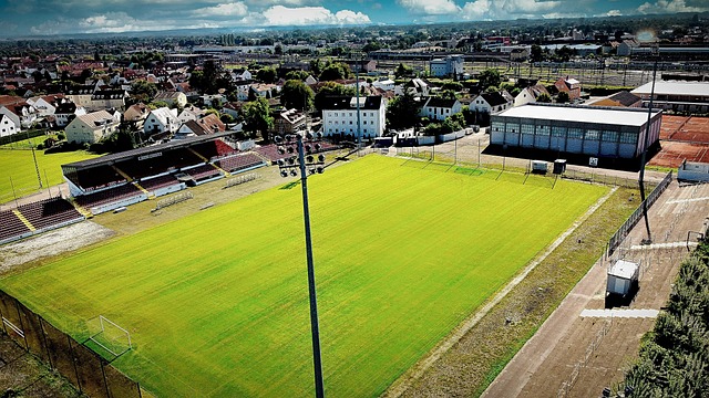 赴的策略 赴的策略