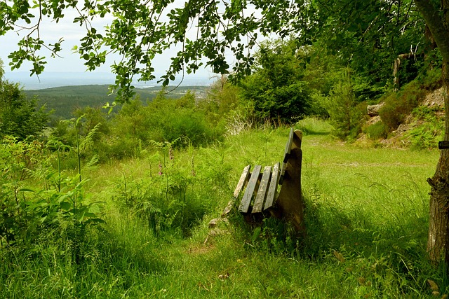 重点调整 重点调整