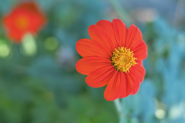 德转列合同到期门将身价榜：梅雷特居首，德赫亚、亚罗什在列.